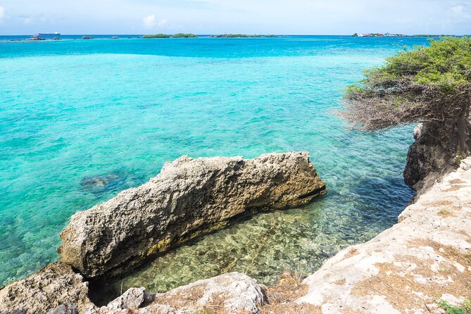 Private Aruba Beach Hop and Snorkel Experience - Why this private Aruba beach tour works
