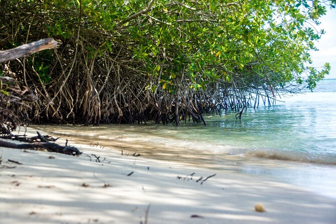 Private Aruba Beach Hop and Snorkel Experience - Who should book it, and who should think twice