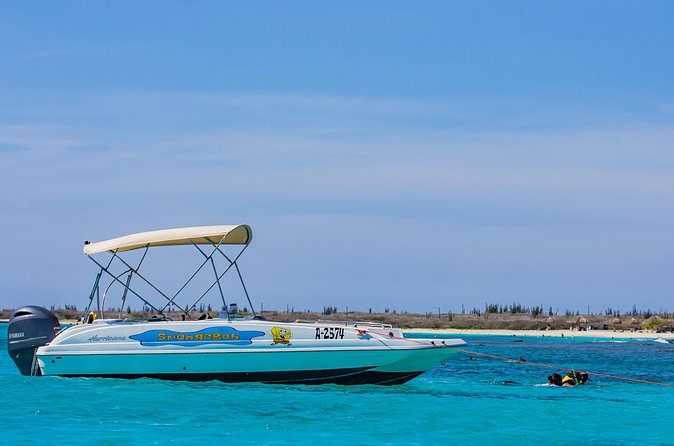Private Boat Cruise with Snorkeling - What Could Disappoint You