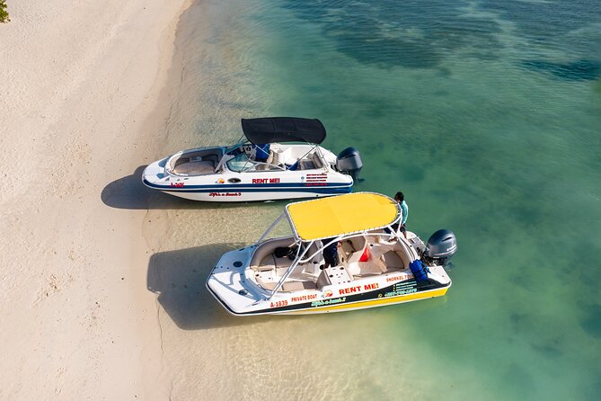 Private Boat & Snorkeling Adventure on Aruba’s Crystal Coast - Malmok Reef: the best choice for fish