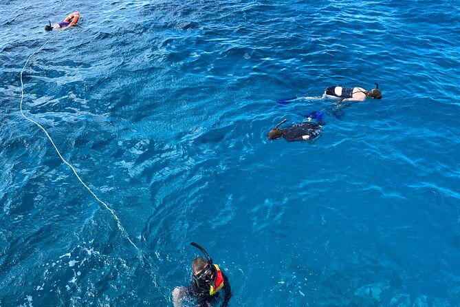 Private Catamaran Cruise and Snorkeling Tour in Honolulu - Is $749 a good value for six people?