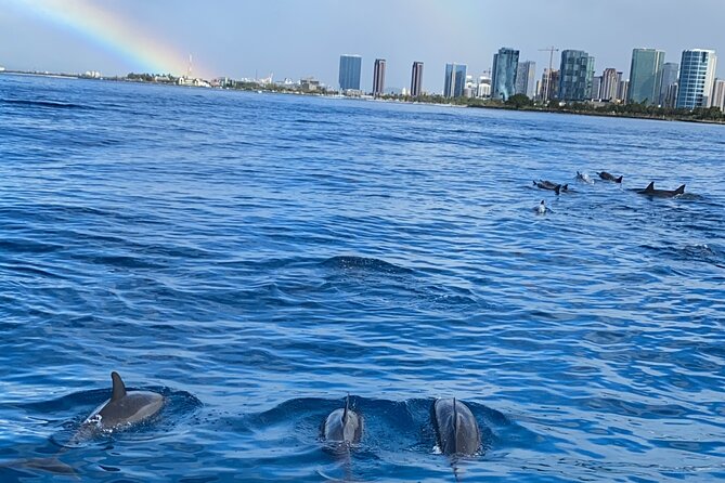 Private Catamaran Cruise and Snorkeling Tour in Honolulu - Who will enjoy this Honolulu boat trip most?