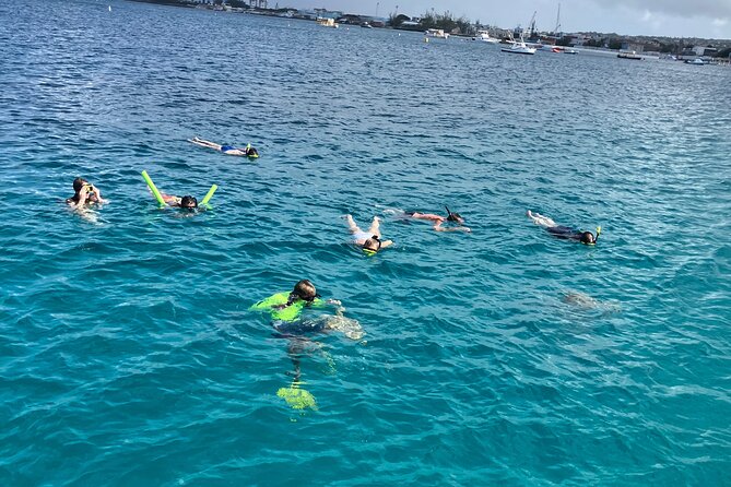 Private catamaran sail & snorkel - A private charter instead of a packed excursion