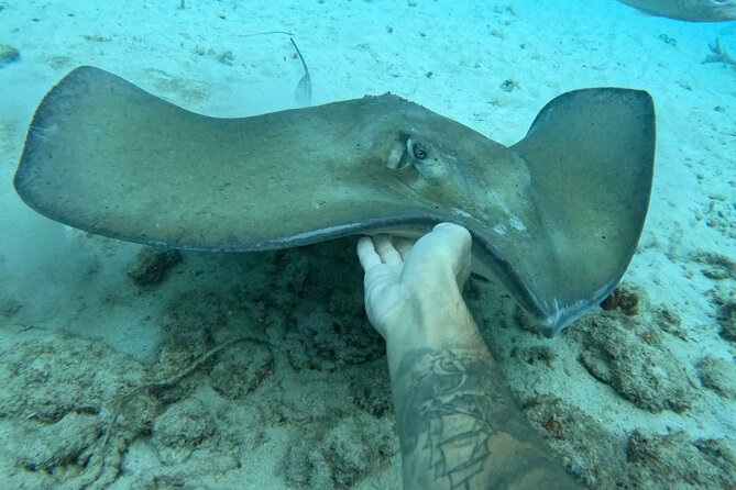 Private catamaran sail & snorkel - Snorkeling around coral, rays, and shipwrecks