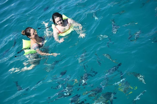 Private Catamaran Snorkeling Cruise in Los Cabos - Food, drinks, and service from Danny’s crew