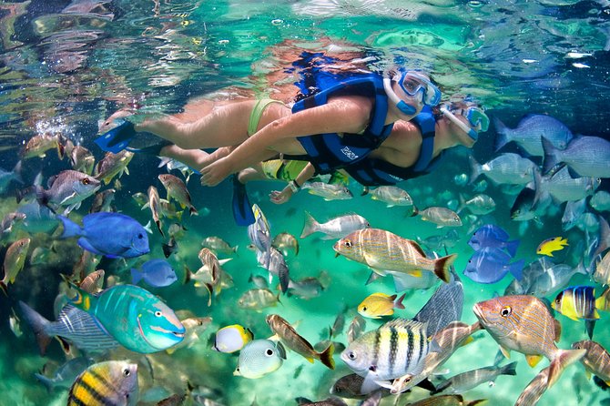 Private Catamaran Snorkeling Family Adventure - Timing, Pace, and Family Fit