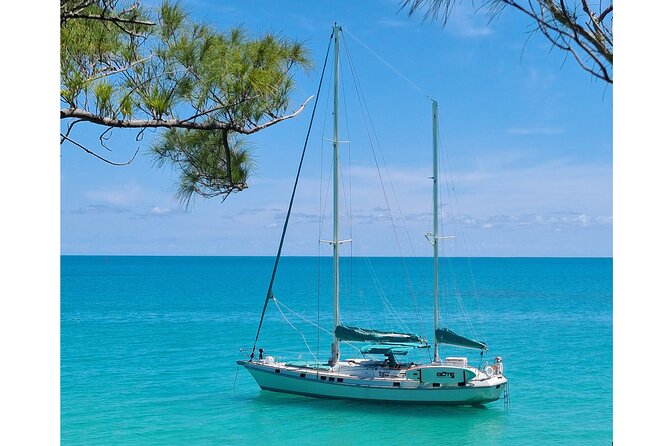 Private Catamaran Swim sail snorkel cliff jumping SUP - Sailing depends on the wind