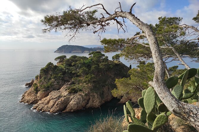 Private Costa Brava Hike and Snorkel from Barcelona with Lunch - Who will enjoy this Costa Brava day?