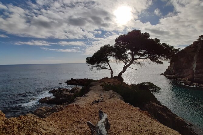 Private Costa Brava Kayak Experience with Snorkel from Barcelona - From Barcelona to the Costa Brava in about an hour