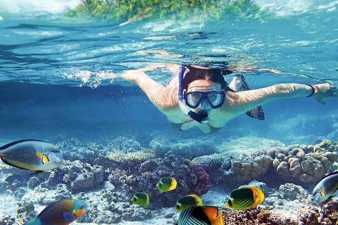 Private Dolphin House Boat Tour with Snorkeling & Lunch– Hurghada - What could go wrong, and how to avoid it