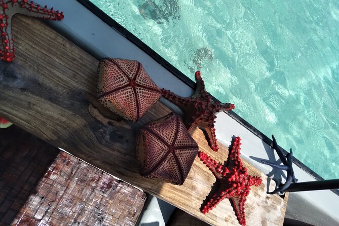Private Dolphin Tour and Snorkeling at Mnemba Island reef - Setting out toward Zanzibar’s northeast waters