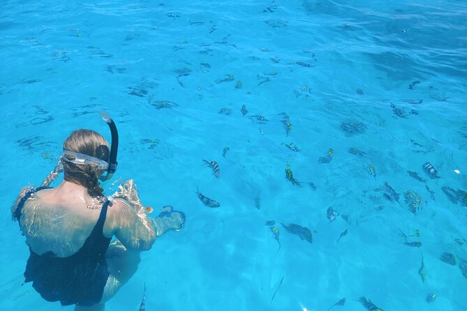 Private Dolphin Tour and Snorkeling at Mnemba Island reef - What private really means here