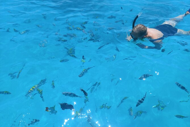Private Dolphin Tour and Snorkeling at Mnemba Island reef - Who will enjoy this three-stop morning