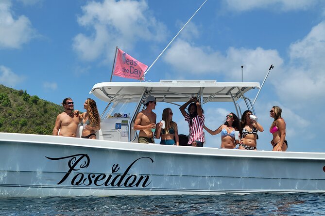 Private Fast Power Catamaran. Full or Half Day for Beach Hopping, Snorkel & Swim - Snorkeling With Turtles and Tropical Fish