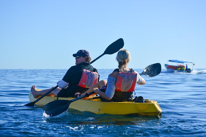 Private Glass bottom Kayak and snorkel at two Bays - What the $130 price delivers
