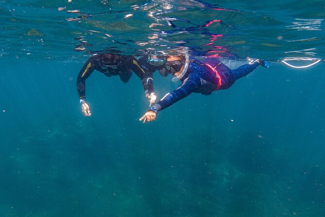 Private Guided Snorkeling in Cabo San Lucas - Why the private format matters in Cabo San Lucas