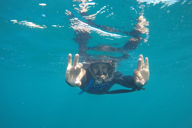 Private Guided Snorkeling in Cabo San Lucas - Underwater photos make the memories easier to keep