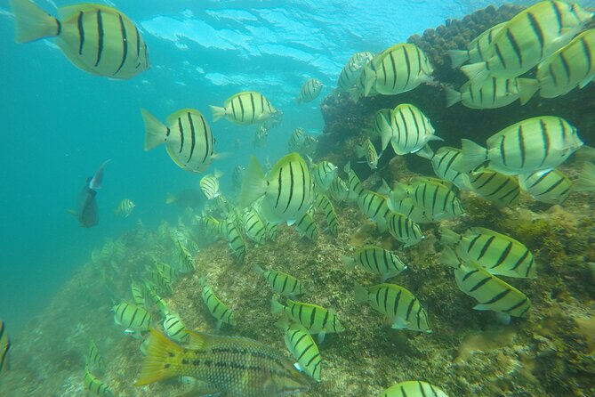 Private Guided Snorkeling in Cabo San Lucas - Snacks, drinking water, and a lighter environmental footprint