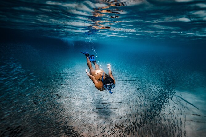 Private Guided Snorkeling in Cabo San Lucas - Meeting at the Cabo marina at 1:30 pm