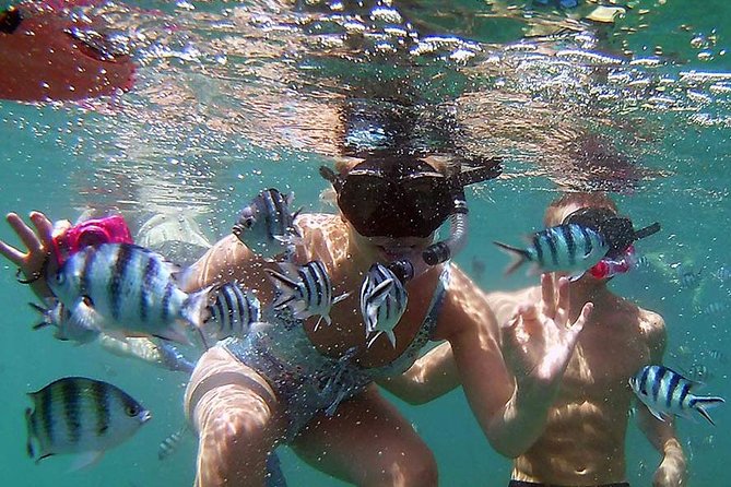 Private Half-Day Red Dragon Yacht for Snorkeling Koh Tan & Visit Pig Island - Who will enjoy this boat day most