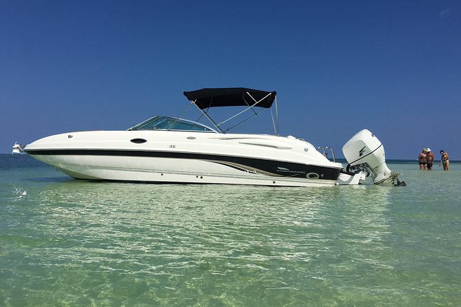 Private Half Day Stingray City, Snorkeling and Starfish Beach Tour - Leaving From Cayman Islands Yacht Club