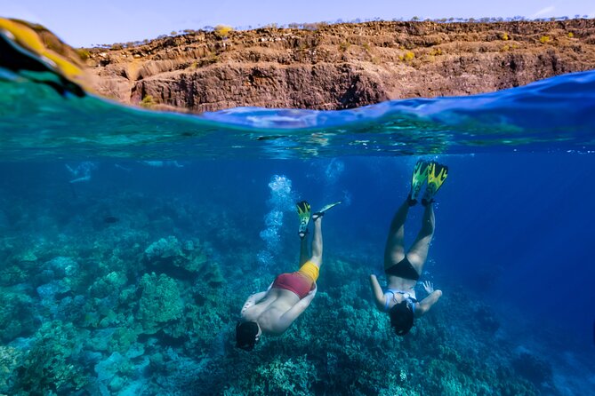 Private Kealakekua Bay Snorkel and Dolphin Watch - Why Kealakekua Bay makes this trip special