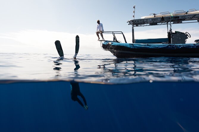Private Kealakekua Bay Snorkel and Dolphin Watch - The small touches that improve the day