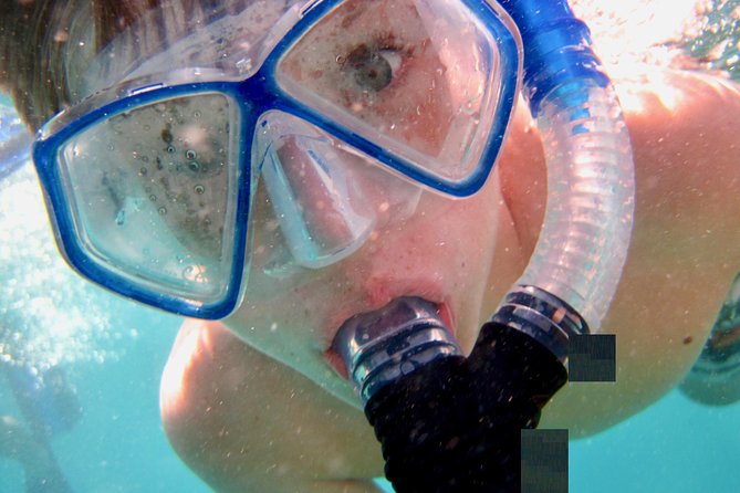 Private Looe Key Snorkel from Big Pine Key - Why Looe Key is worth your morning