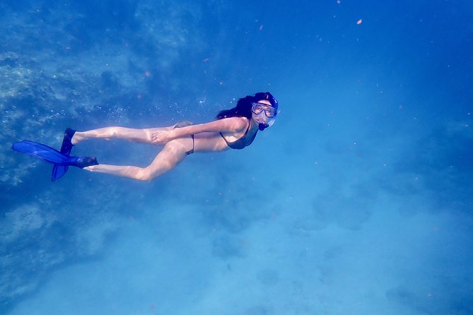 Private Looe Key Snorkel from Big Pine Key - Meeting at Big Pine Key at 10:00 a.m.