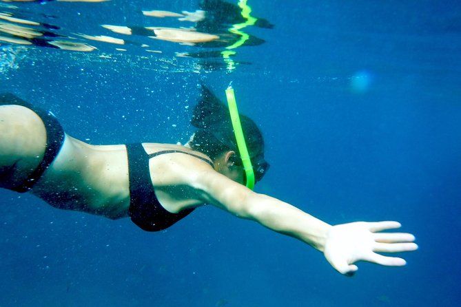 Private Los Arcos Snorkel and Beach Tour from Puerto Vallarta - Key Points Before You Book