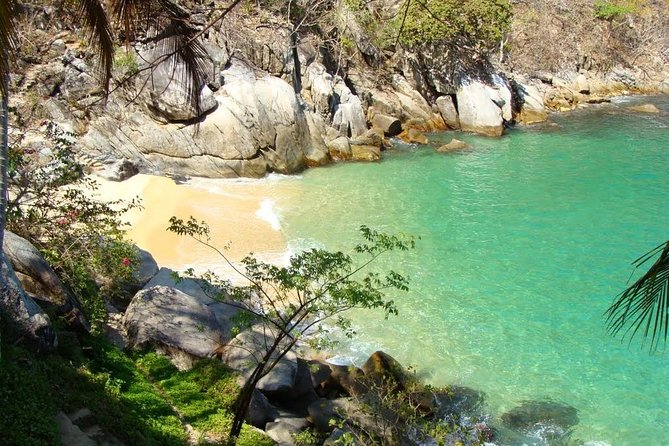 Private Los Arcos Snorkel and Beach Tour from Puerto Vallarta - A Four-Hour Escape From Los Muertos Pier
