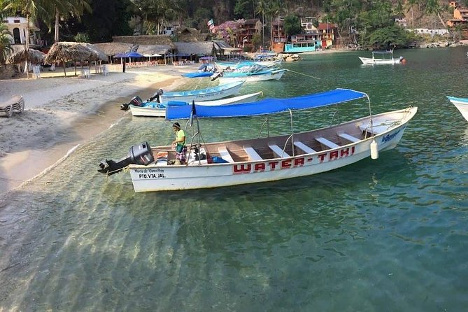Private Los Arcos Snorkel and Beach Tour from Puerto Vallarta - Price and Value at $168 Per Person