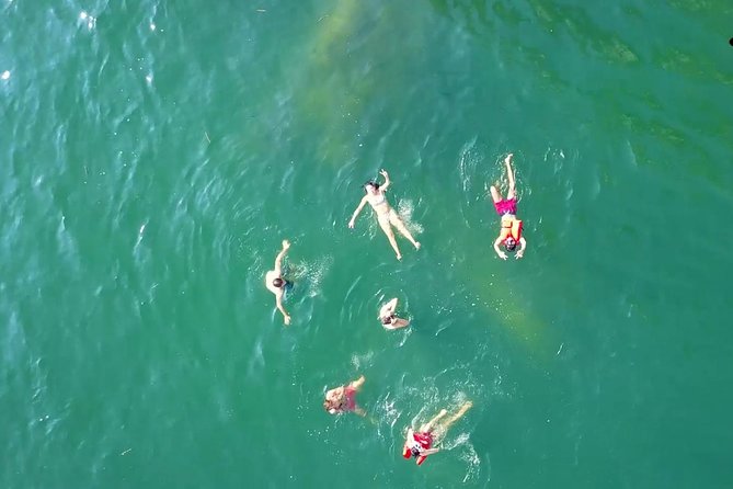 Private Los Arcos Snorkel and Beach Tour from Puerto Vallarta - Families, Couples, and Mixed Swimming Abilities