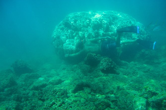 Private Los Cabos snorkeling tour to Chileno bay and Santa Maria cove - Why the private format matters