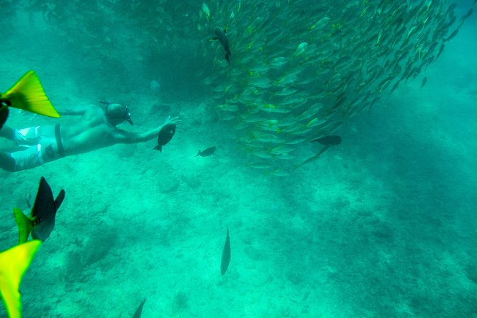 Private Los Cabos snorkeling tour to Chileno bay and Santa Maria cove - Pickup, cruise timing, and the Plaza Gali meeting point