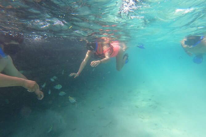 Private MUSA Snorkeling Experience at Isla Mujeres and Cancun - Why this private Isla Mujeres trip works well