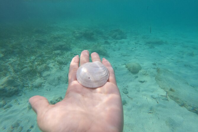 Private MUSA Snorkeling Experience at Isla Mujeres and Cancun - The boat ride around Isla Mujeres