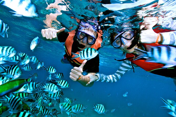 Private MUSA Snorkeling Experience at Isla Mujeres and Cancun - Swimming and relaxing after the statues