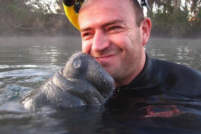 Private 'OG' Manatee Snorkel Tour with Guide for up to 10 people - Meeting the manatees at Crystal River