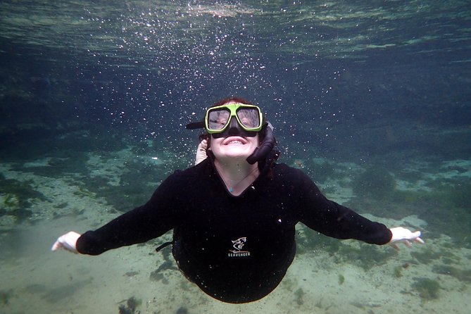 Private 'OG' Manatee Snorkel Tour with Guide for up to 10 people - The guides make the difference