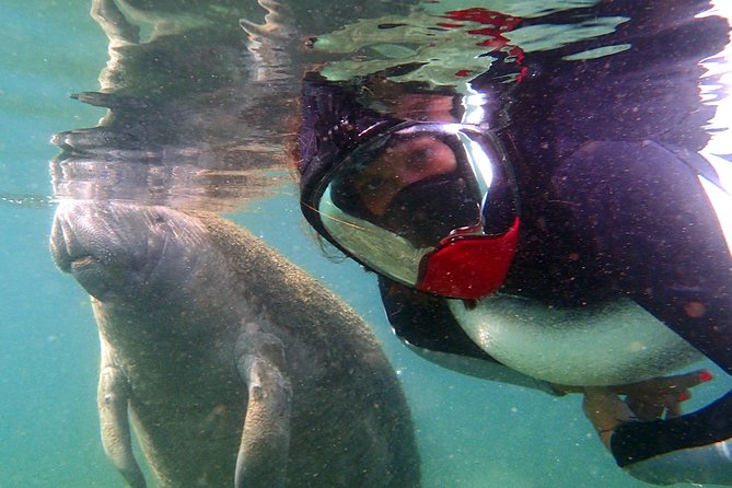 Private 'OG' Manatee Snorkel Tour with Guide for up to 10 people - Photos, extras, and what you pay for
