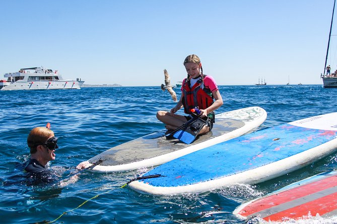 Private Paddleboard and snorkel at the arch - What to bring and what not to expect