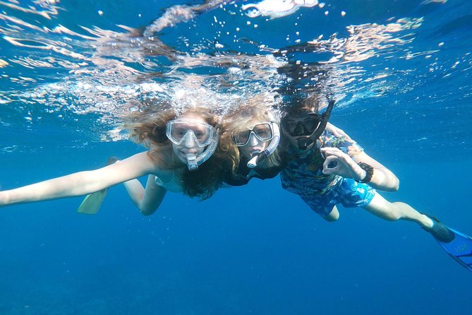 Private snorkel with 2 stops in Aruba - Eco-friendly! - Pickup, timing, and physical demands