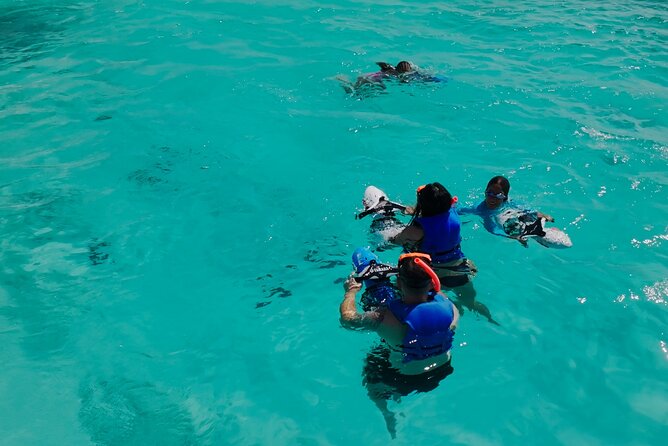 Private Snorkeling and Boat Riding Experience in Aruba - Leaving from Vissershutjes in Noord