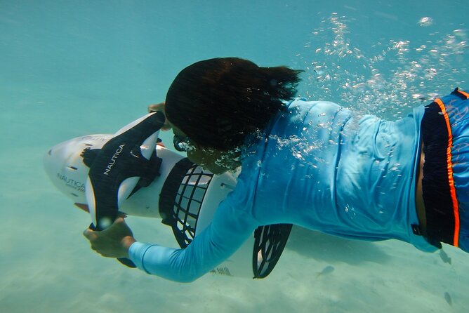 Private Snorkeling and Boat Riding Experience in Aruba - Snorkeling near sea turtles and a shipwreck