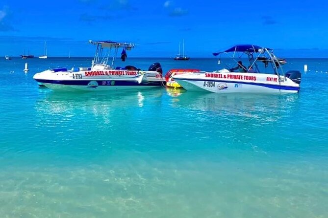 Private Snorkeling and Boat Riding Experience in Aruba - Is $270 per person a fair price?