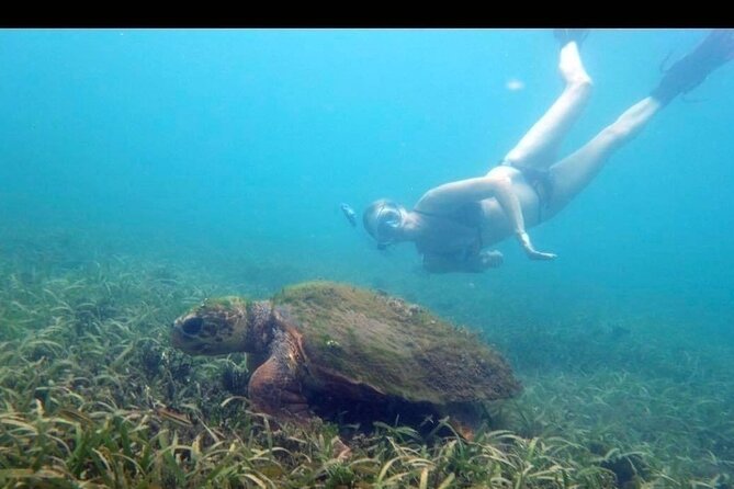 Private Snorkeling and Sightseeing Tour of Antigua - Nelson’s Dockyard: Antigua’s Naval Past