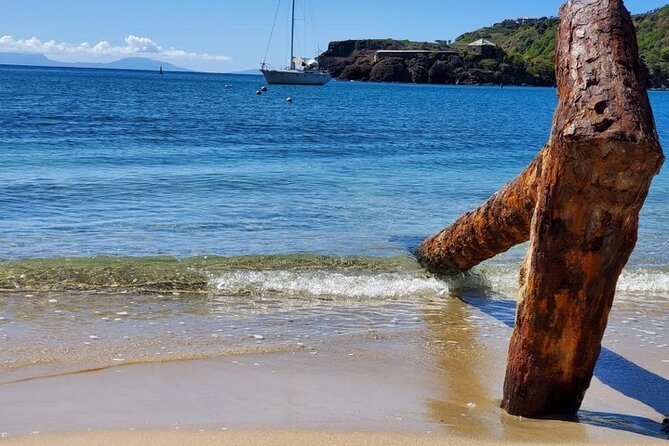 Private Snorkeling and Sightseeing Tour of Antigua - Why the Private Format Matters Underwater