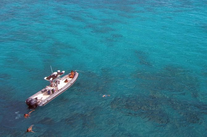 Private Snorkeling and Wildlife on The Adventure Boat - Snorkeling with Turtles, Fish, and More