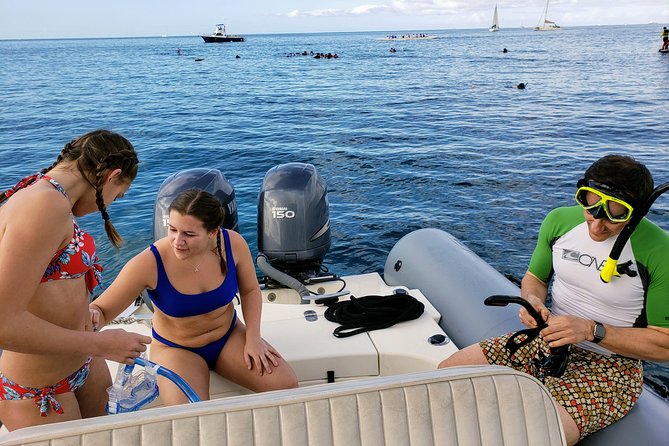 Private Snorkeling and Wildlife on The Adventure Boat - Wildlife Watching Without a Script